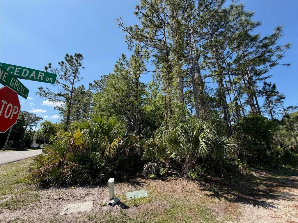 60 Pine Cedar Drive Palm Coast FL 32164