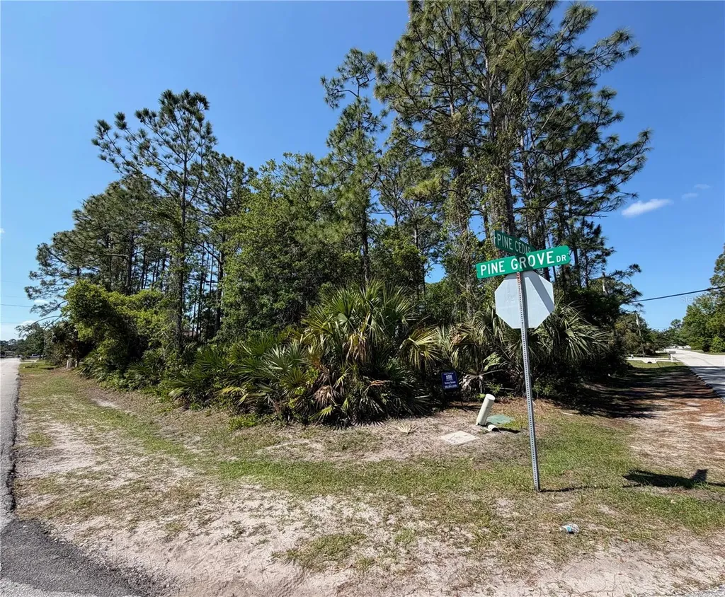60 Pine Cedar Drive Palm Coast FL 32164