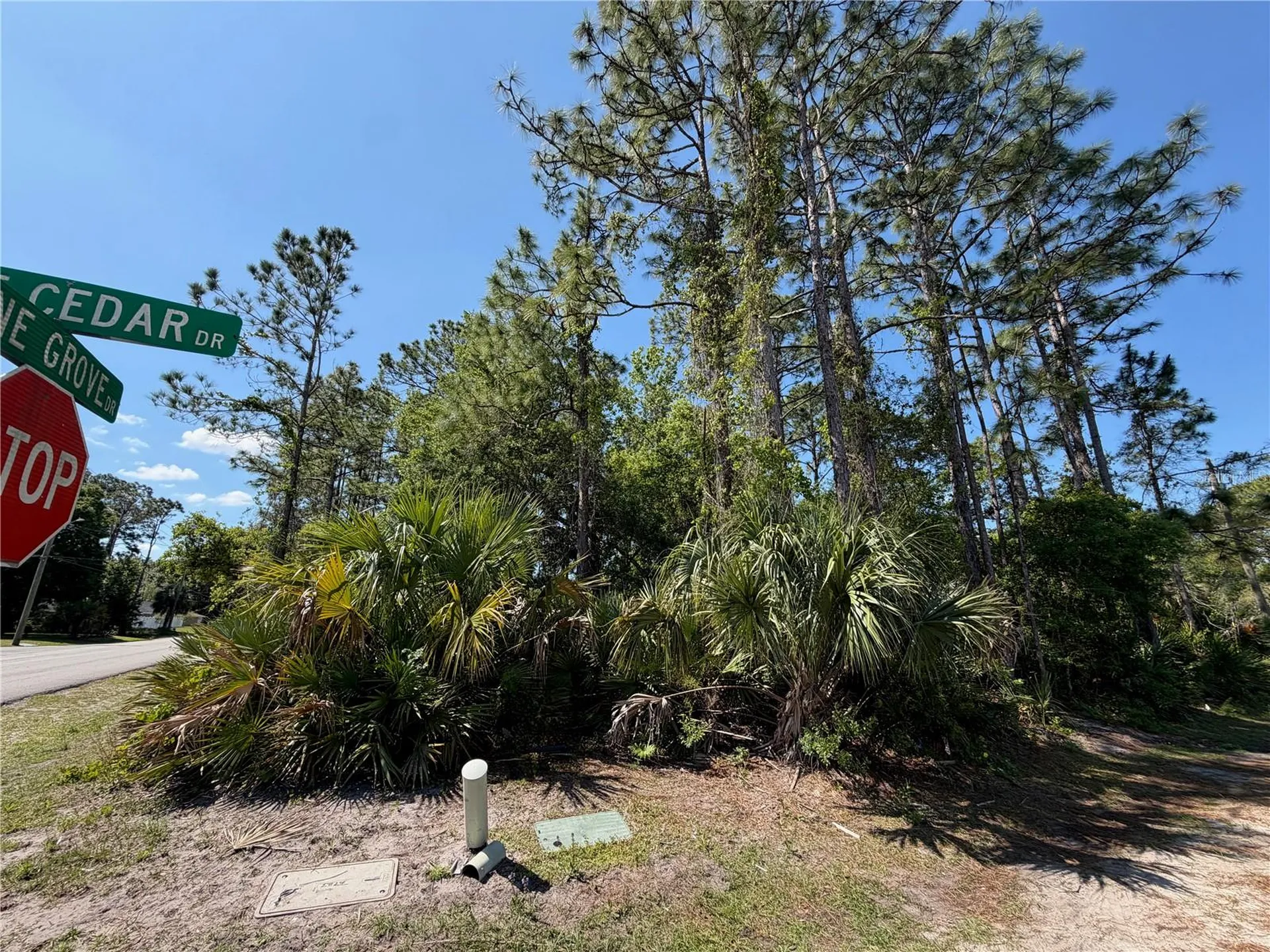 60 Pine Cedar Drive Palm Coast FL 32164