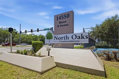 4005 Tumble Wood Trail Tampa FL 33613