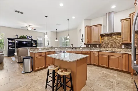 32637 View Haven Lane Sorrento FL 32776