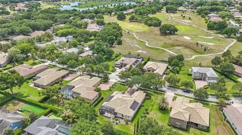 32637 View Haven Lane Sorrento FL 32776