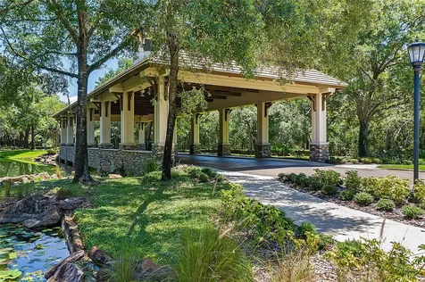 32637 View Haven Lane Sorrento FL 32776