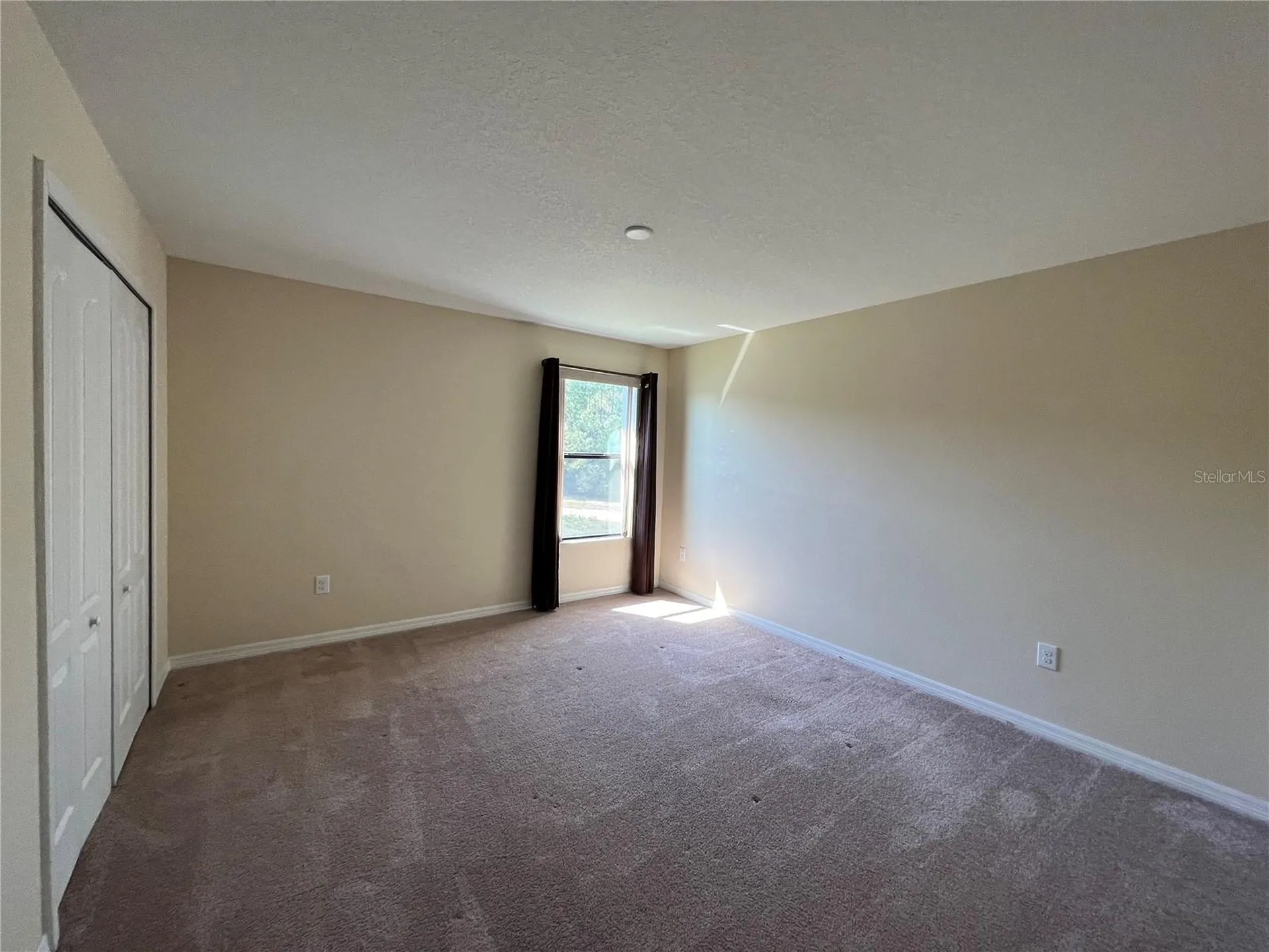 20010 Date Palm Way Tampa FL 33647