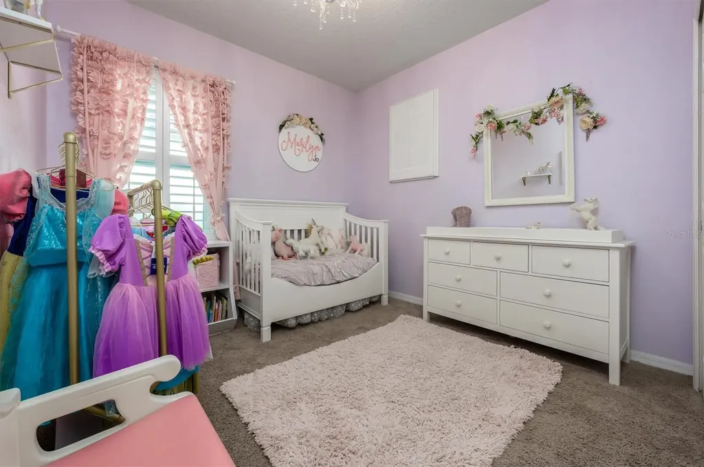 32698 Windelstraw Drive Wesley Chapel FL 33545
