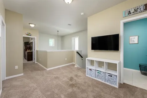 32698 Windelstraw Drive Wesley Chapel FL 33545