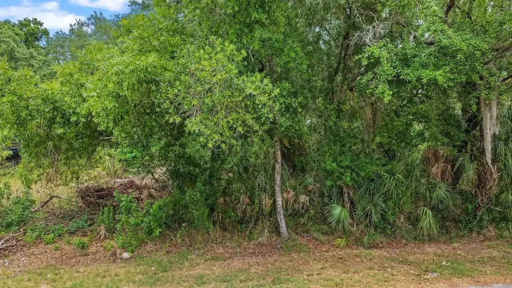 704 1st Avenue NE Ruskin FL 33570