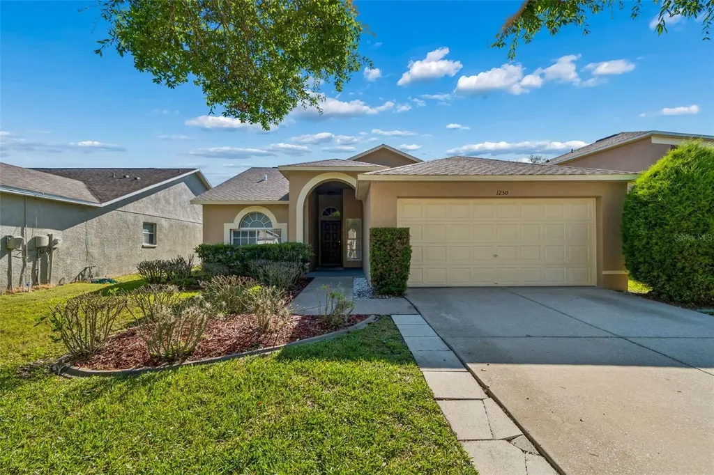 1250 Salt Clay Court Wesley Chapel FL 33544