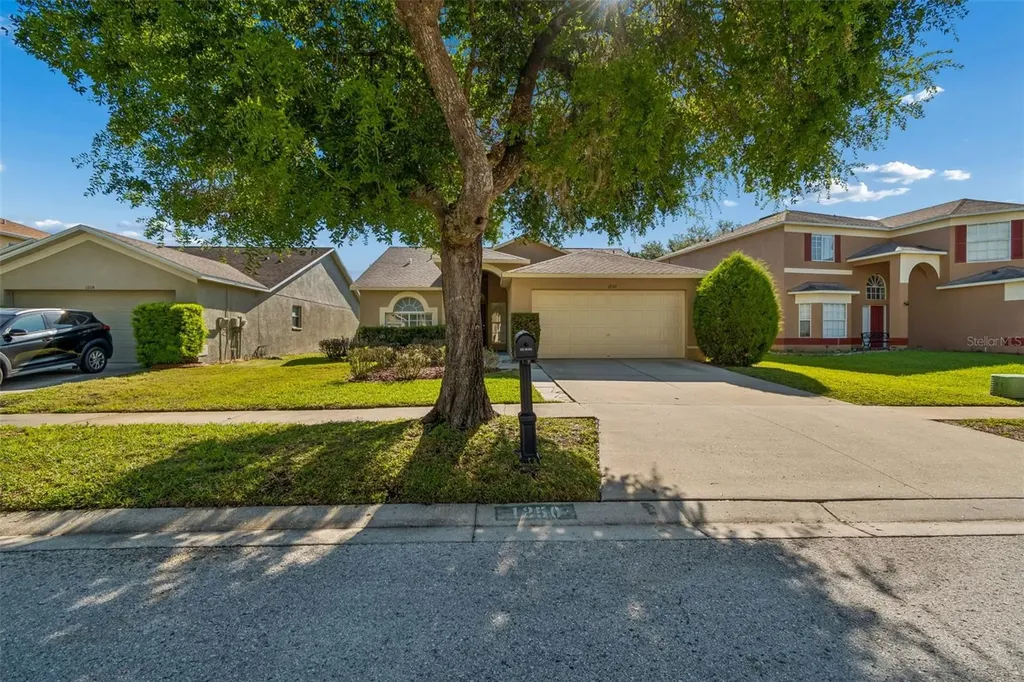 1250 Salt Clay Court Wesley Chapel FL 33544