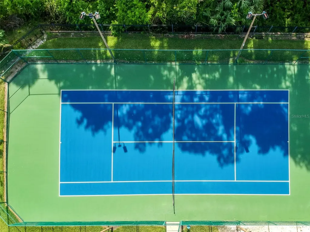 1250 Salt Clay Court Wesley Chapel FL 33544