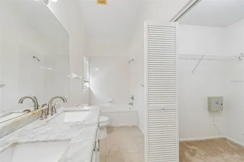 1250 Salt Clay Court Wesley Chapel FL 33544