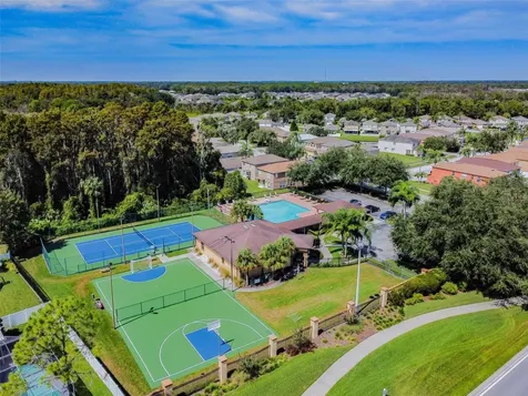 1250 Salt Clay Court Wesley Chapel FL 33544