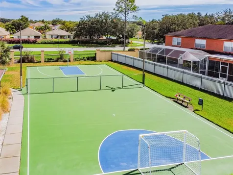 1250 Salt Clay Court Wesley Chapel FL 33544
