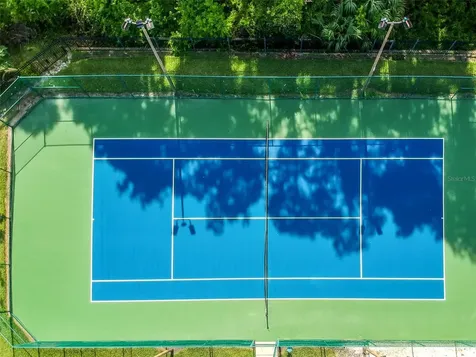 1250 Salt Clay Court Wesley Chapel FL 33544