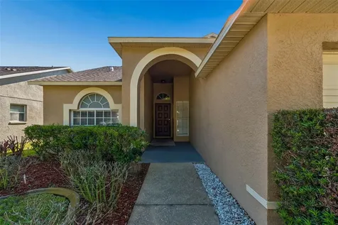 1250 Salt Clay Court Wesley Chapel FL 33544