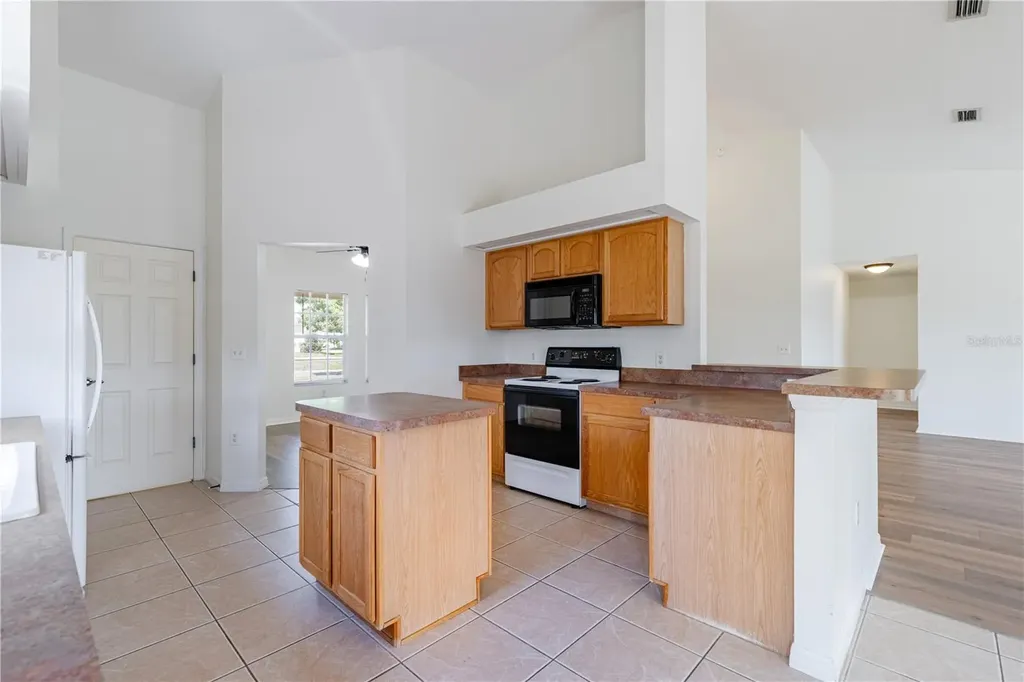3353 Abaco Drive Tavares FL 32778