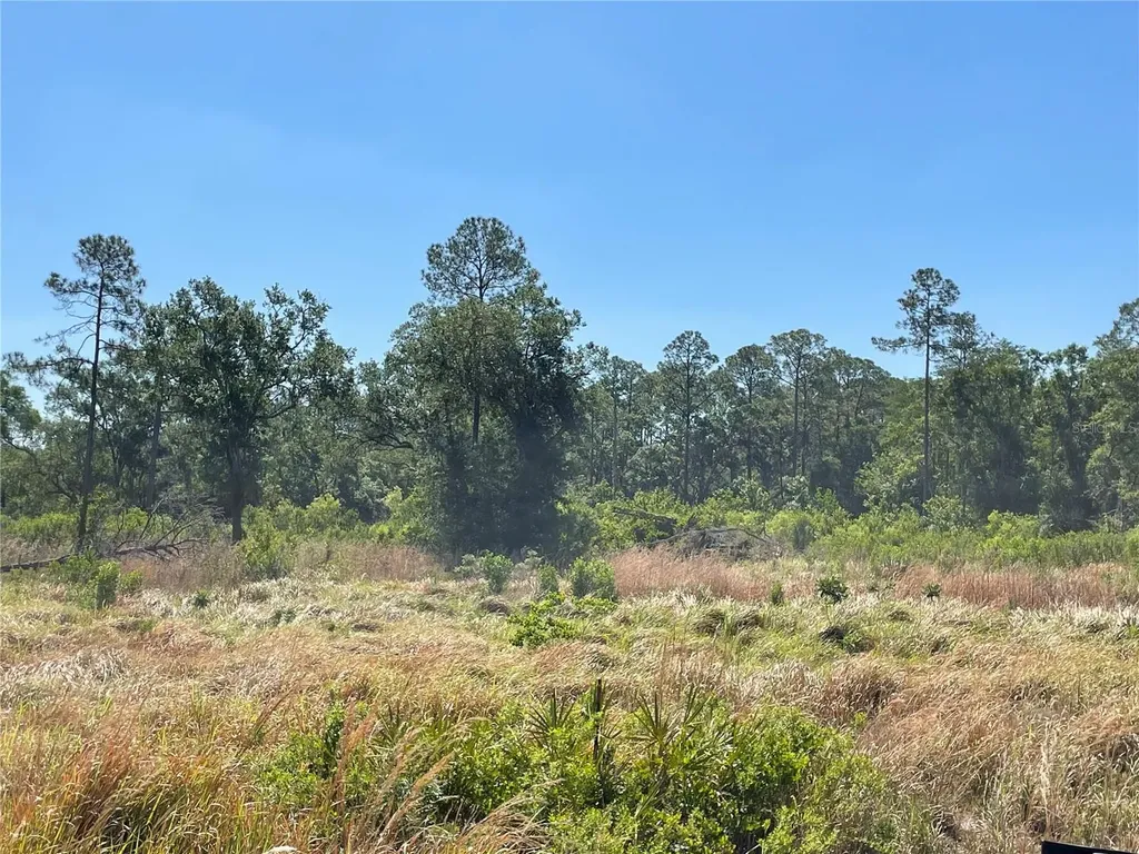Avonwood Tampa FL 33625