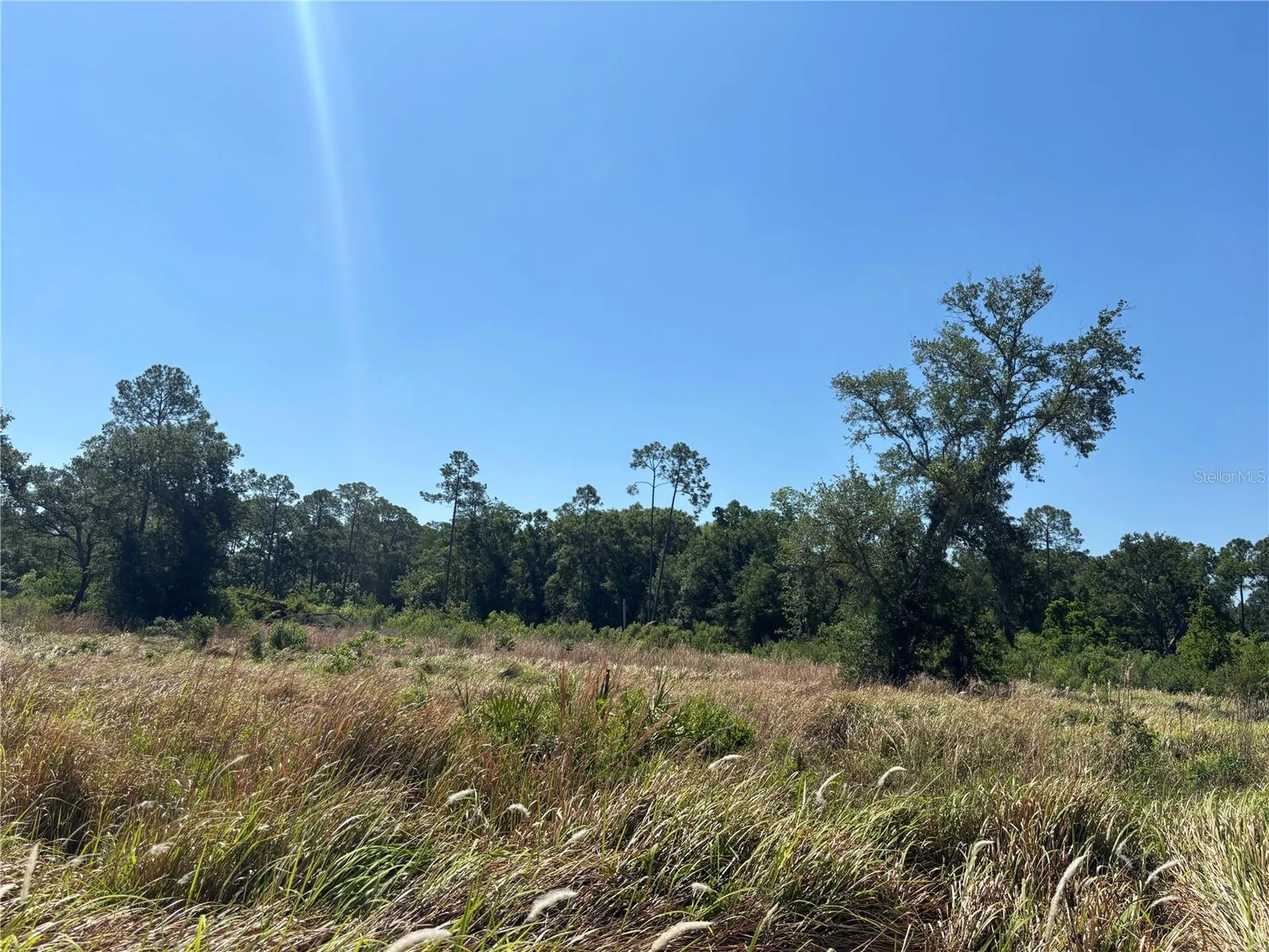 Avonwood Tampa FL 33625