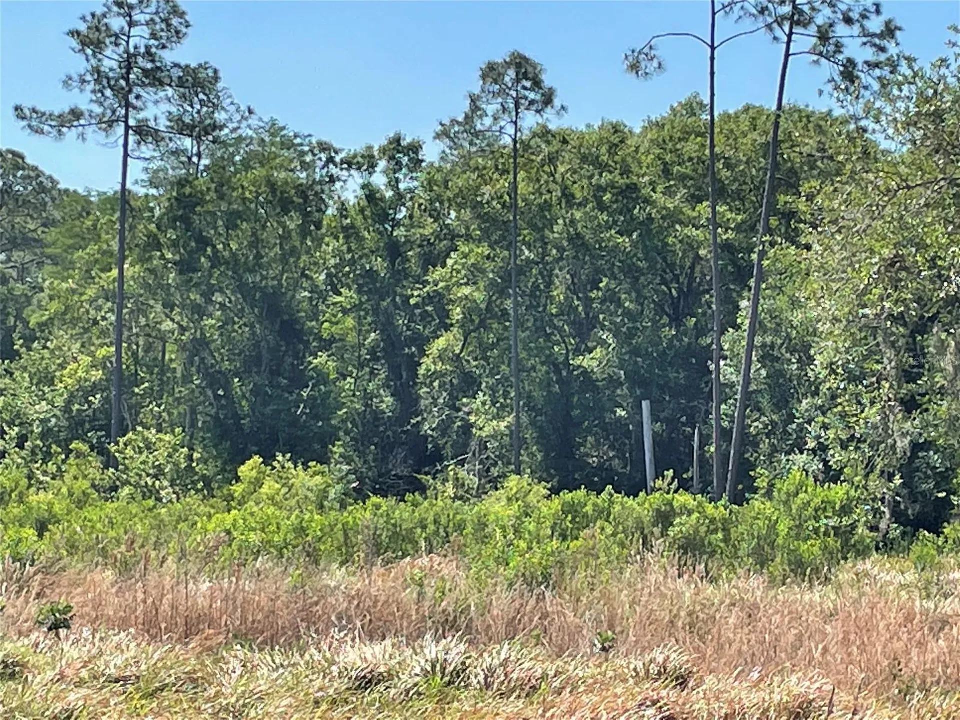 Avonwood Tampa FL 33625