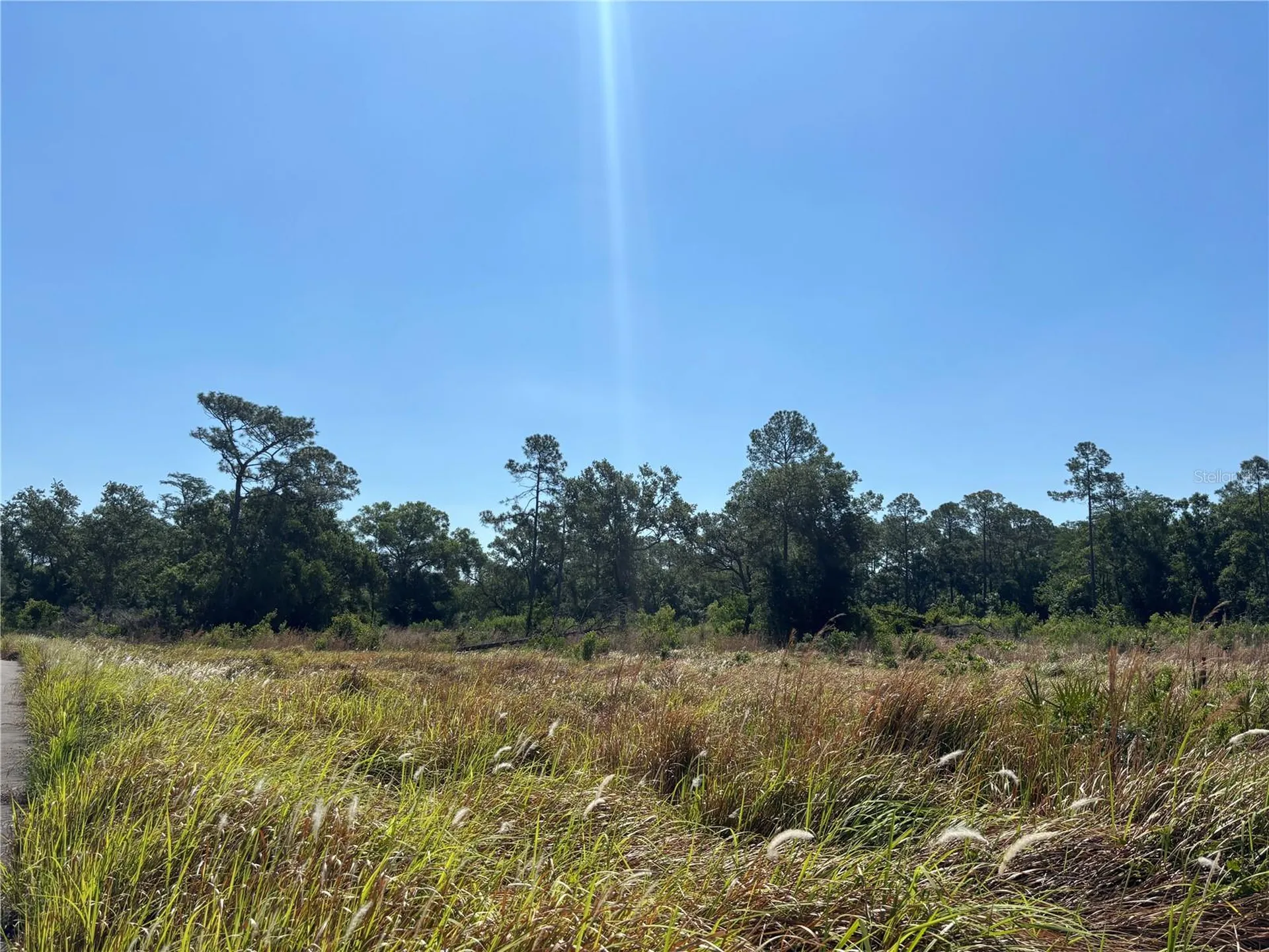 Avonwood Tampa FL 33625