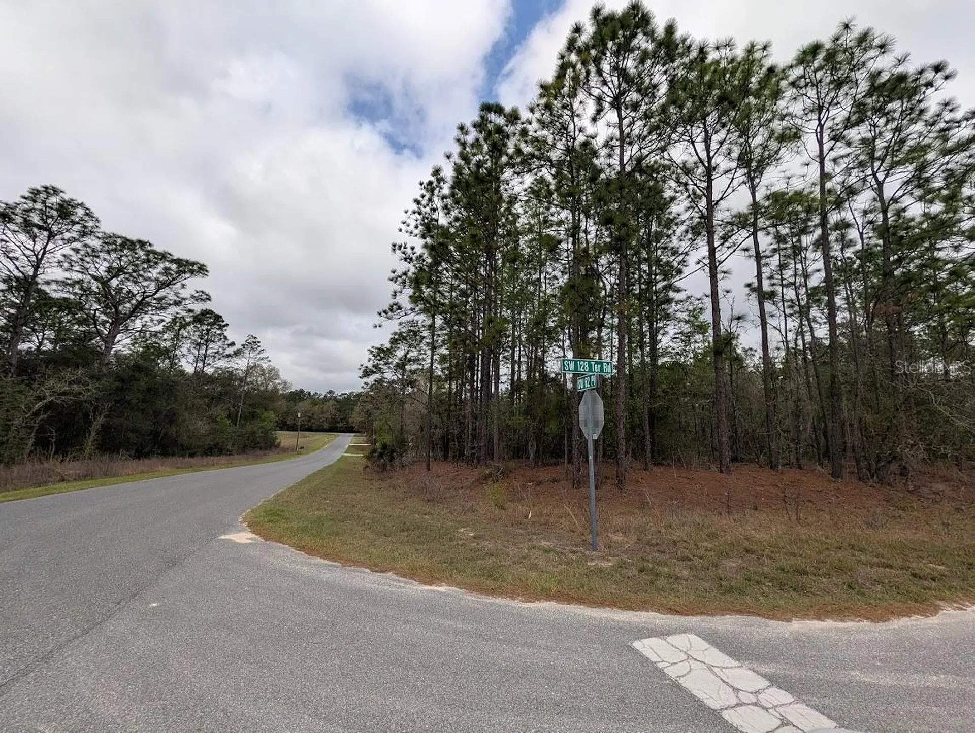 SW 62nd Place Ocala FL 34481