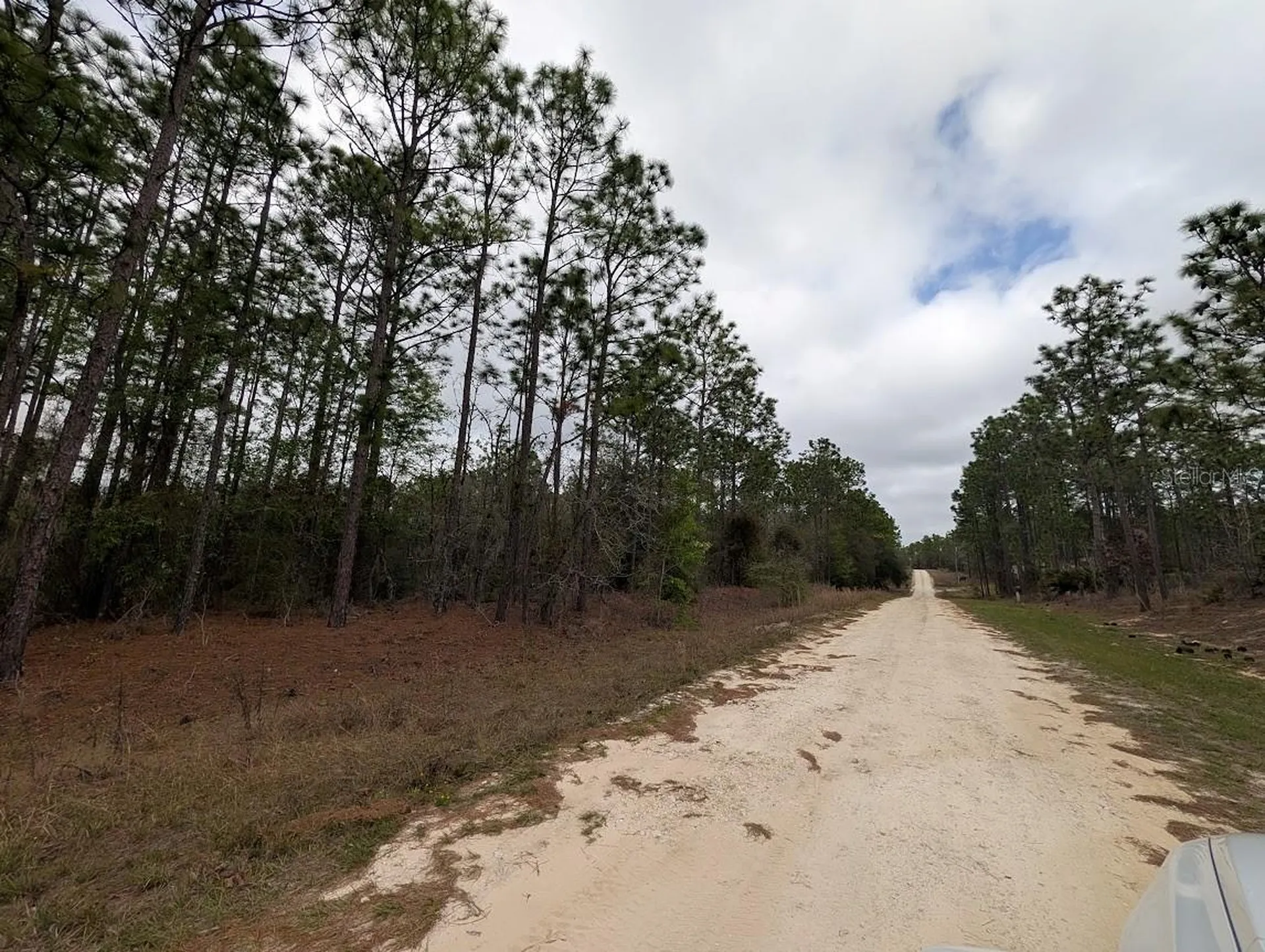 SW 62nd Place Ocala FL 34481