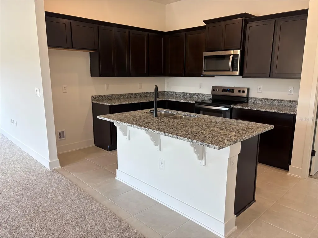 247 Verny Grove Lane Leesburg FL 34748