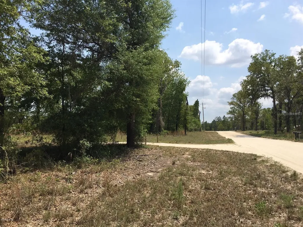 7231 NE 136th Avenue Williston FL 32696