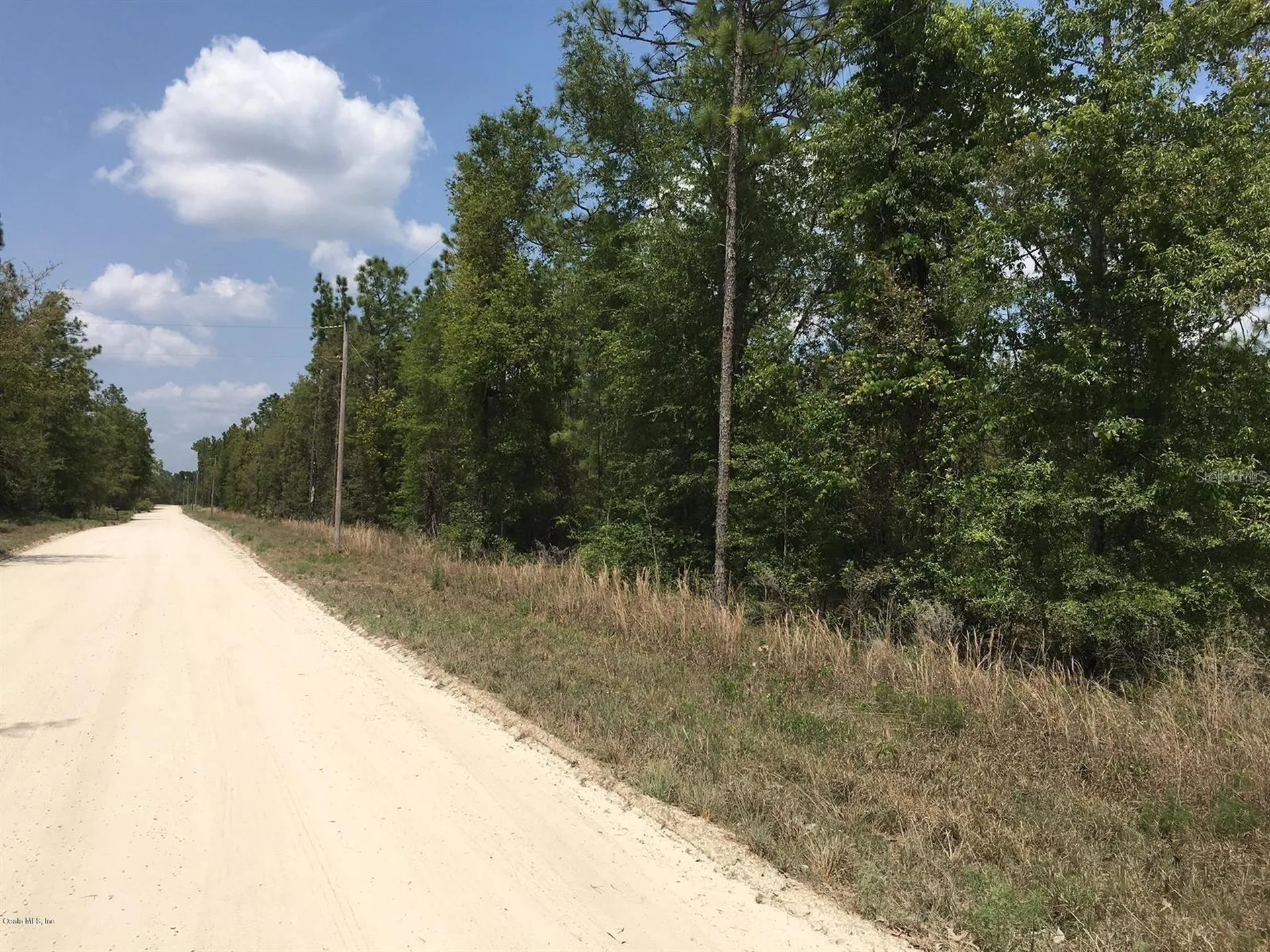 7231 NE 136th Avenue Williston FL 32696