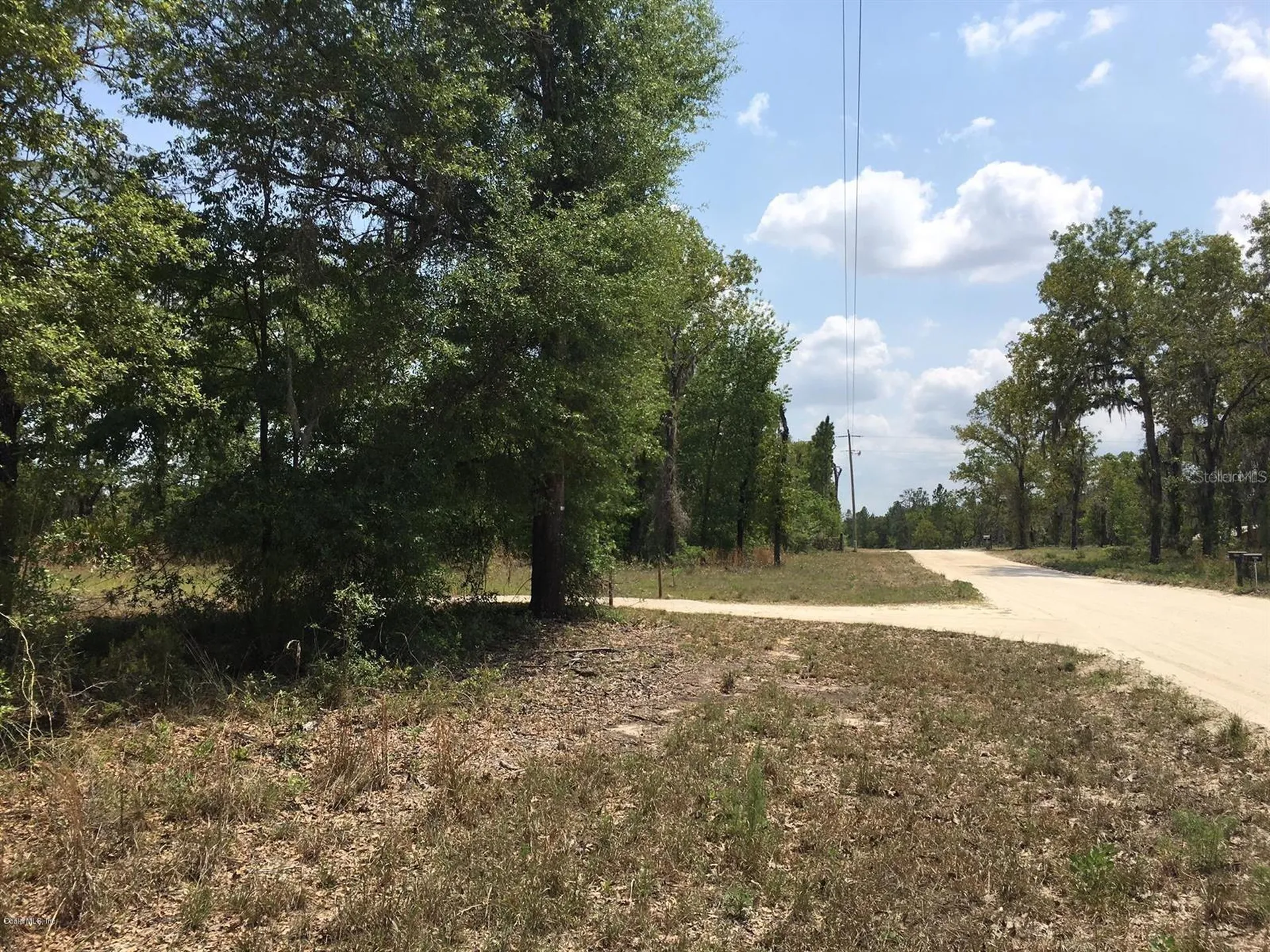 7231 NE 136th Avenue Williston FL 32696