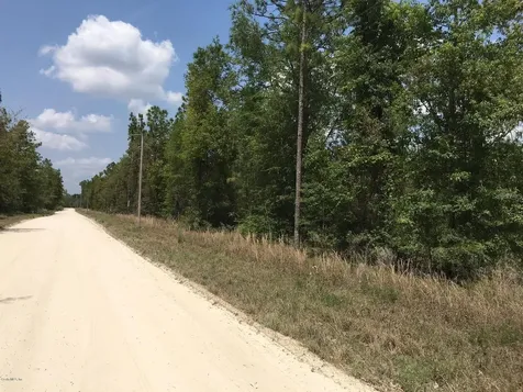 7231 NE 136th Avenue Williston FL 32696