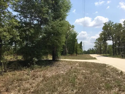 7231 NE 136th Avenue Williston FL 32696
