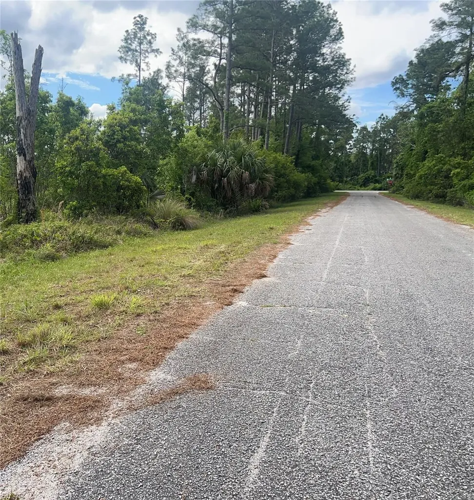 Banyan Street Eustis FL 32736