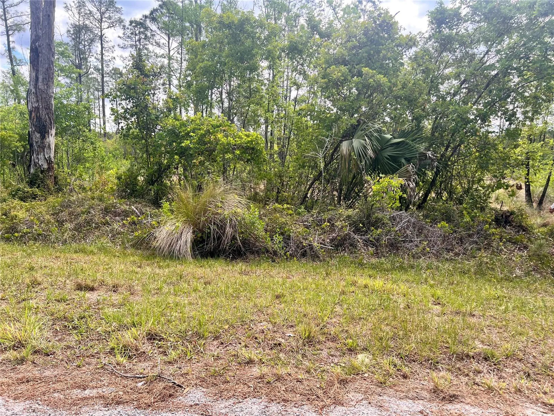Banyan Street Eustis FL 32736