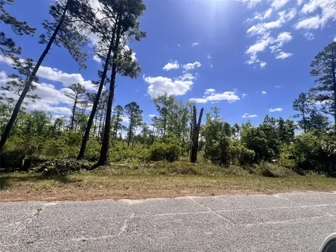 Banyan Street Eustis FL 32736