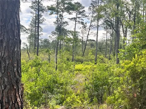 Banyan Street Eustis FL 32736