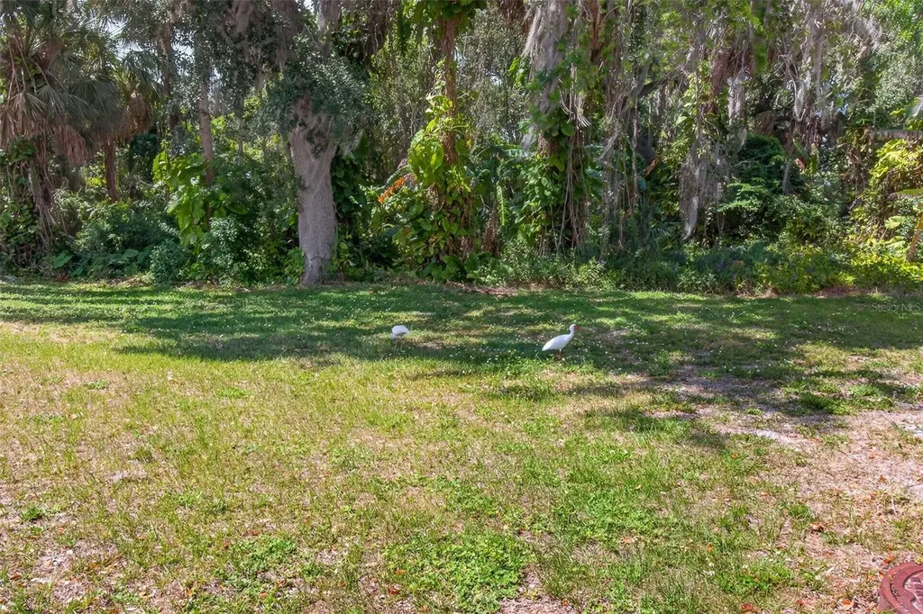3609 Luma Drive Holiday FL 34691