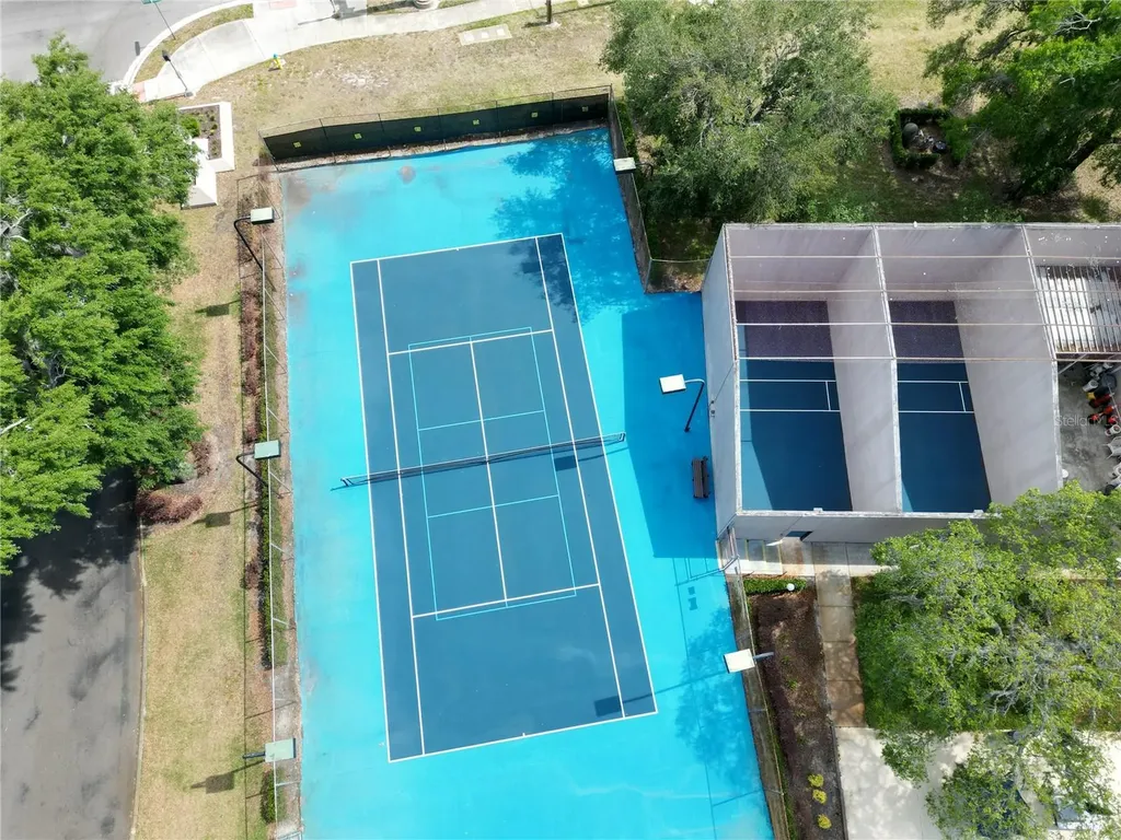 14733 Norwood Oaks Drive Tampa FL 33613