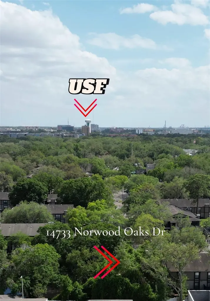 14733 Norwood Oaks Drive Tampa FL 33613