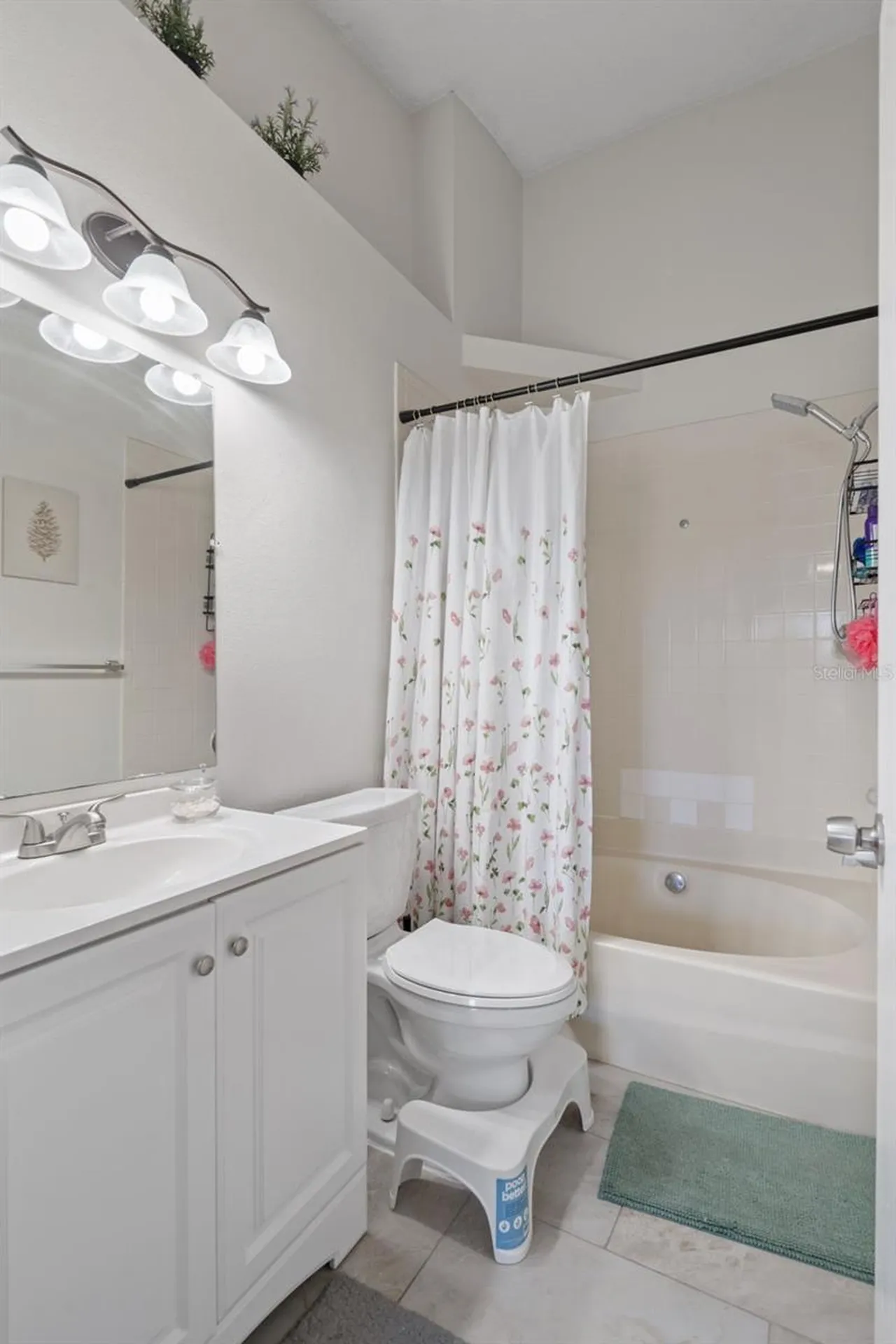 14733 Norwood Oaks Drive Tampa FL 33613