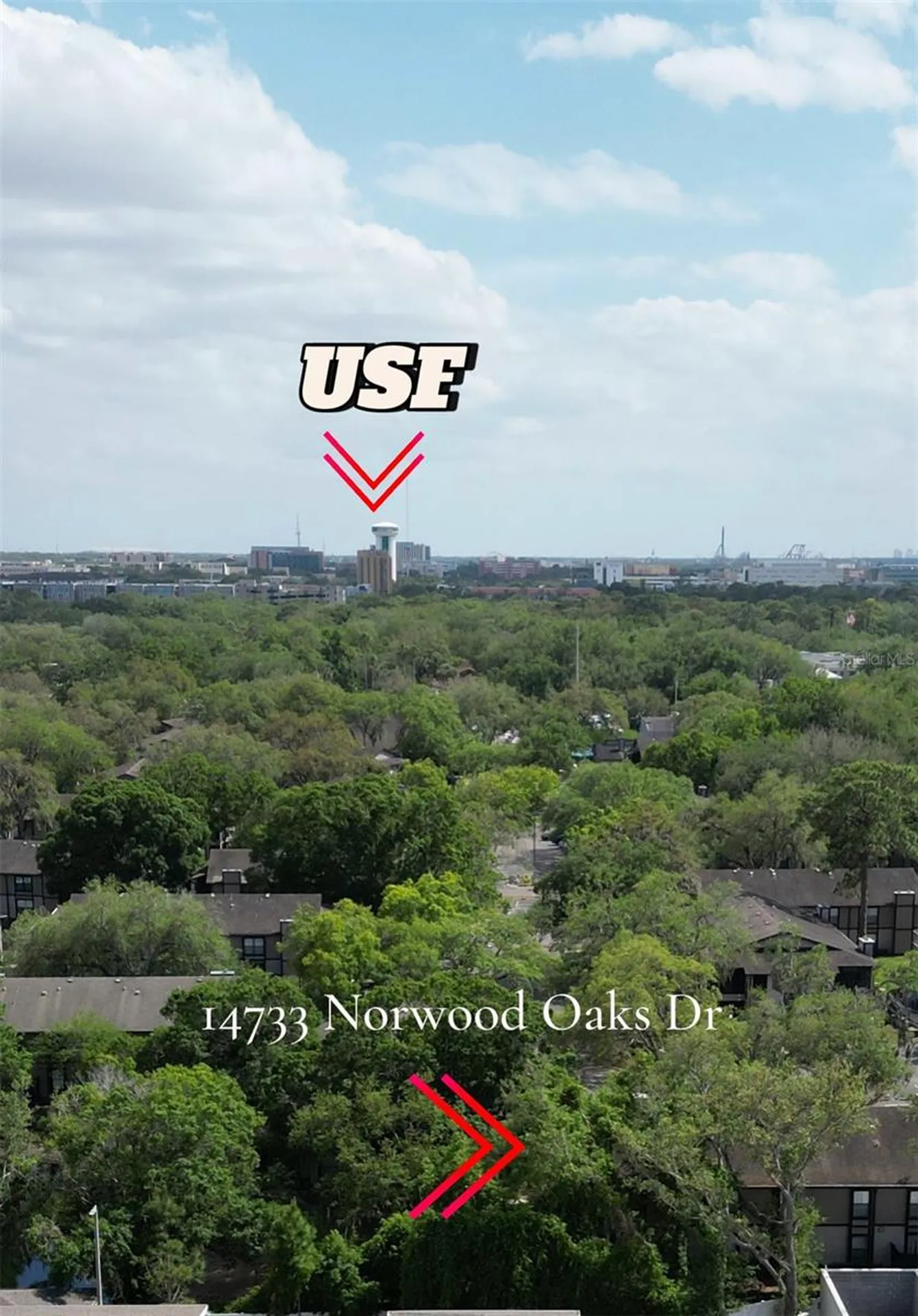 14733 Norwood Oaks Drive Tampa FL 33613