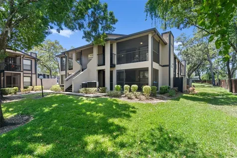 14733 Norwood Oaks Drive Tampa FL 33613