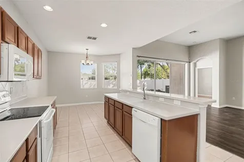 10902 Tree Cactus Loop Land O Lakes FL 34638