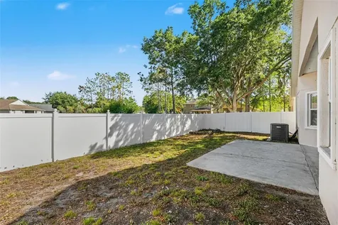 10902 Tree Cactus Loop Land O Lakes FL 34638