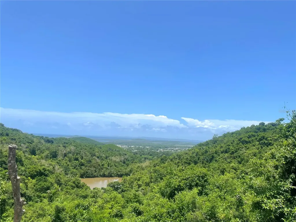 981 Ceiba PR 00735