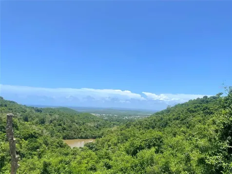 981 Ceiba PR 00735