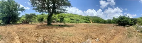 981 Ceiba PR 00735