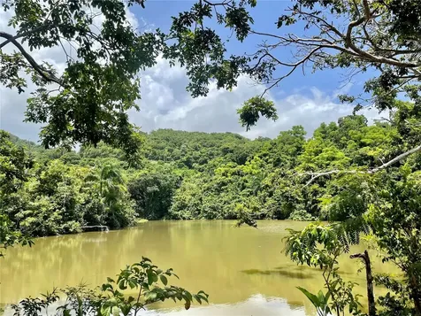 981 Ceiba PR 00735