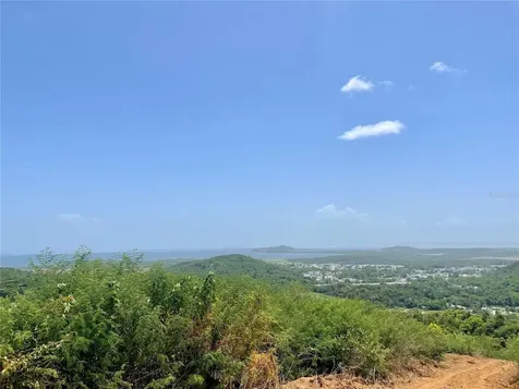 981 Ceiba PR 00735