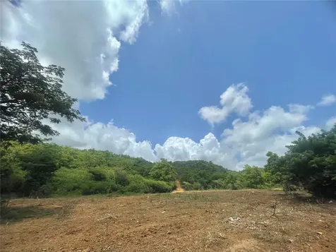 981 Ceiba PR 00735